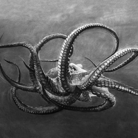 Suspended Oceans (DScc306)