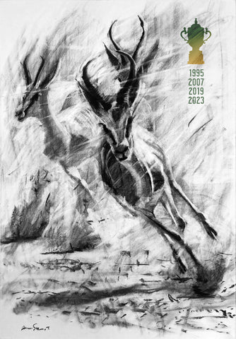 GoBokke! RWC Champions 2023