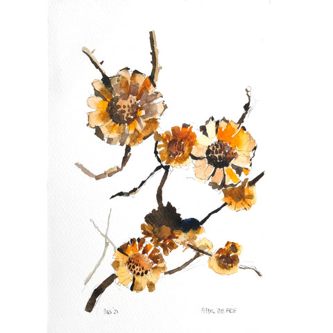 FireFlower (DScc294)