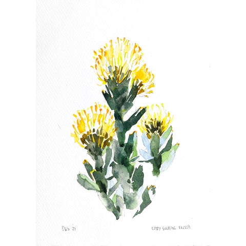 Lady Slipper Flora (DScc293)