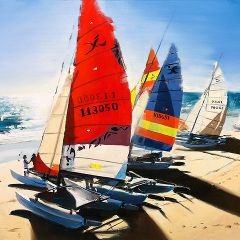 hobie beach (creative collectable)