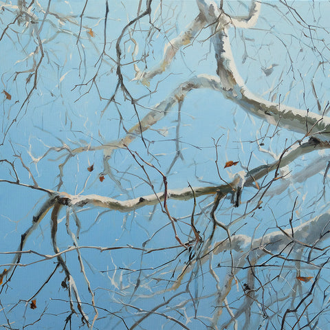 The world above my head (DScc052 )