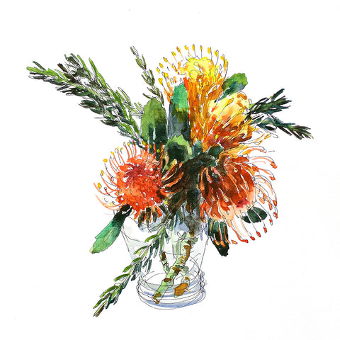 Proteas Pincushions in a vase (DScc062)