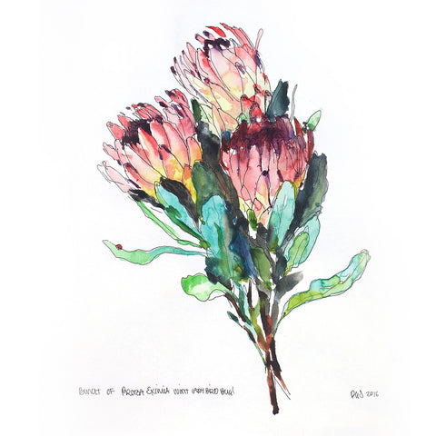 Proteas with Ladybug (DScc063)
