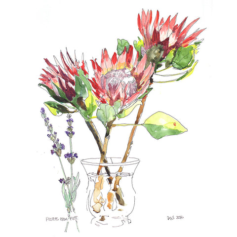Proteas with lavender (DScc064)