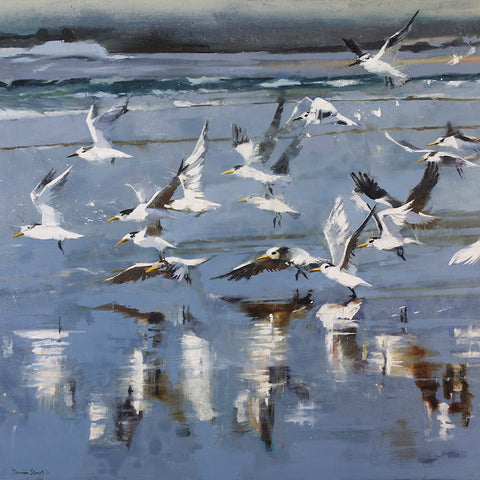 Early Flight (DScc099)