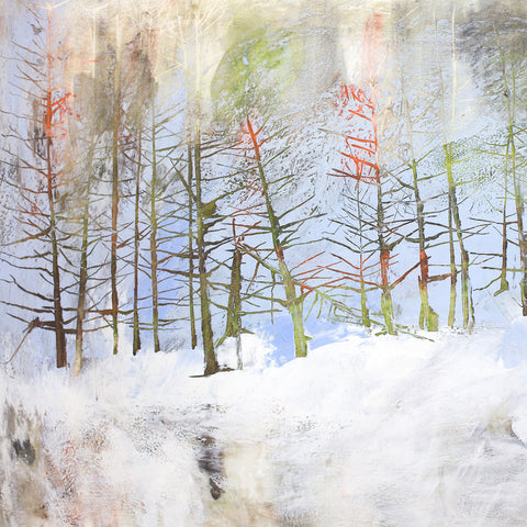 Frozen-treeline