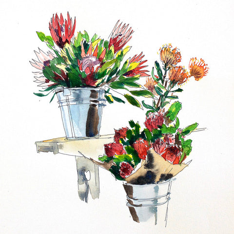 Proteas-buckets