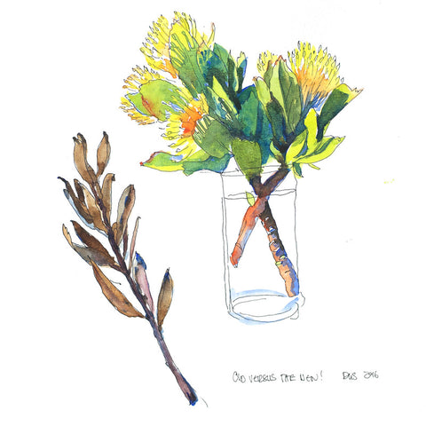 Proteas-pincushion-yellow