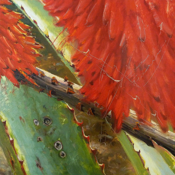 Aloe-red-turquoise