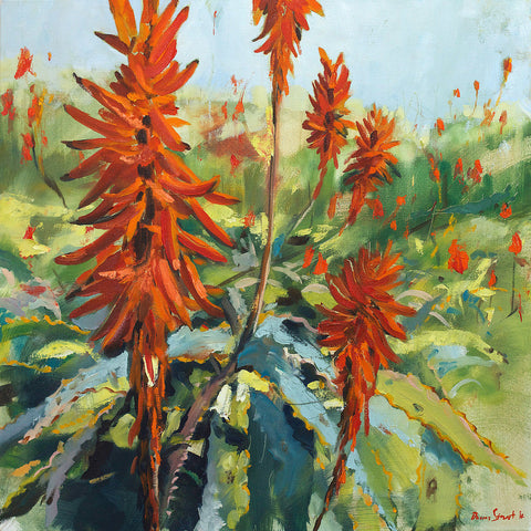 Red-hot-pokers