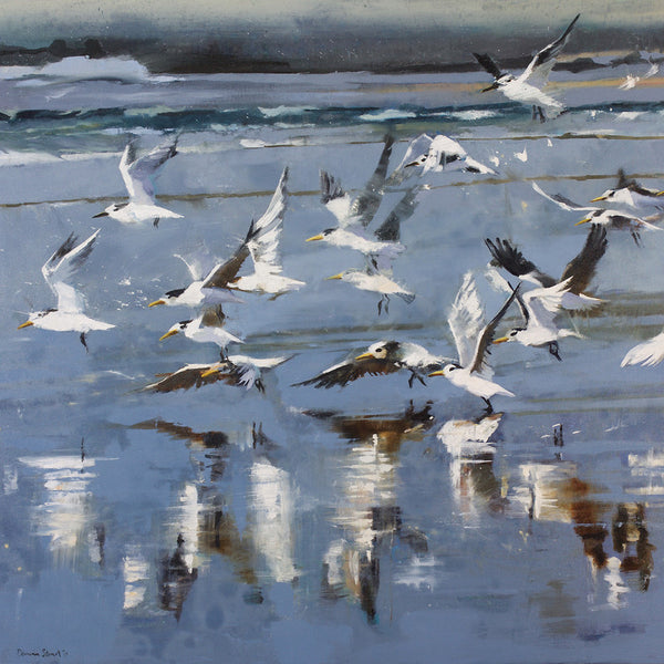 takeoff-terns