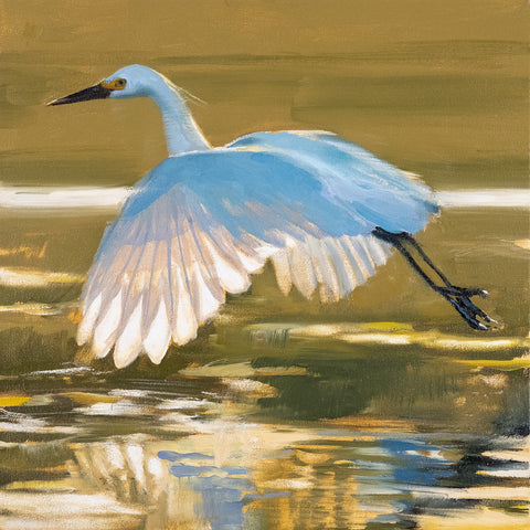 heron-gold
