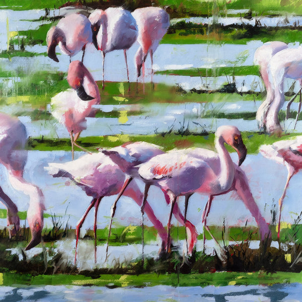 Krom-flamingoes