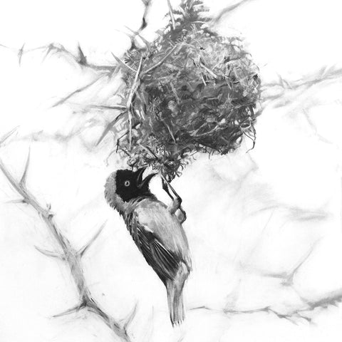 MW-charcoal