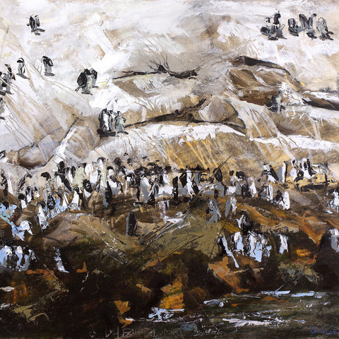 St-Croix-penguins