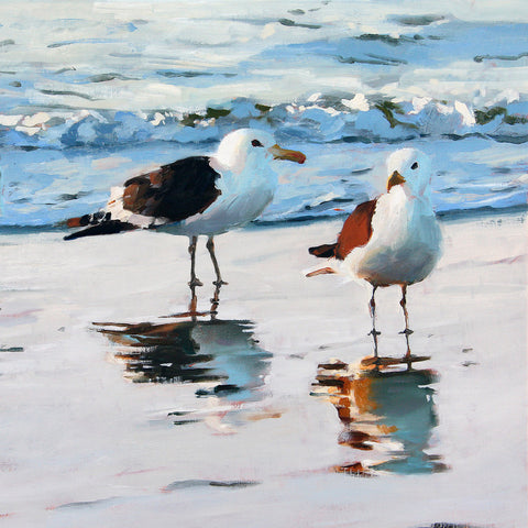 Seagull-reflections2