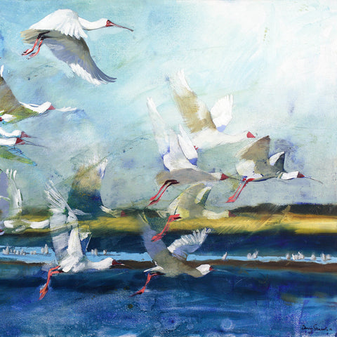 African-Spoonbills-over-the-Krom