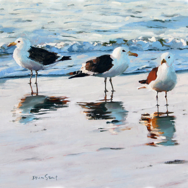 Seagull-reflections3