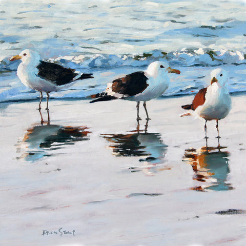 Seagull-reflections3