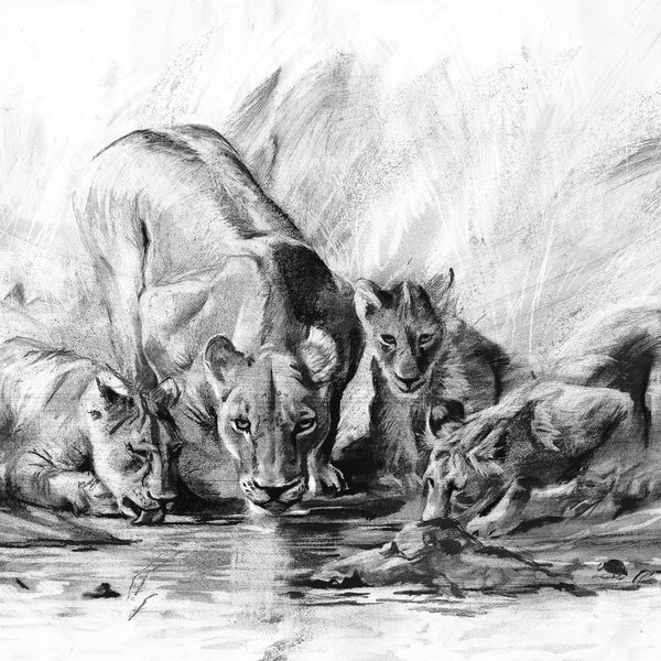 Mother-and-cubs-drinking