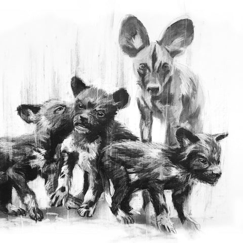 Wilddog-with-pups