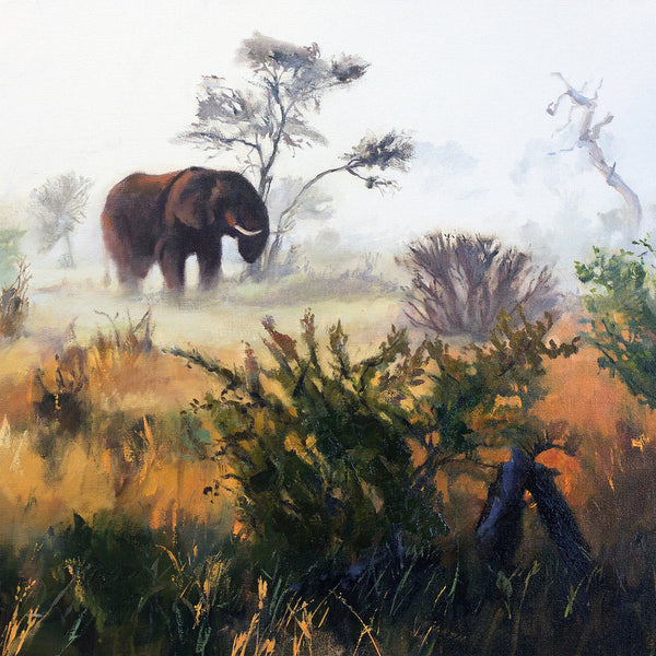 early-morning-Lebombo-mist