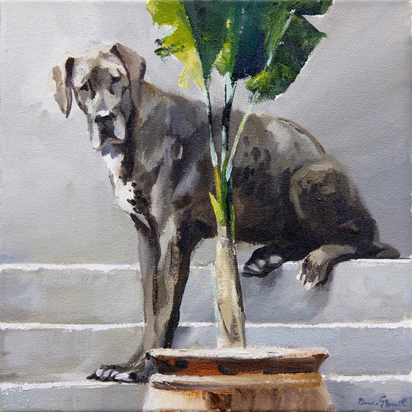 Great-Dane