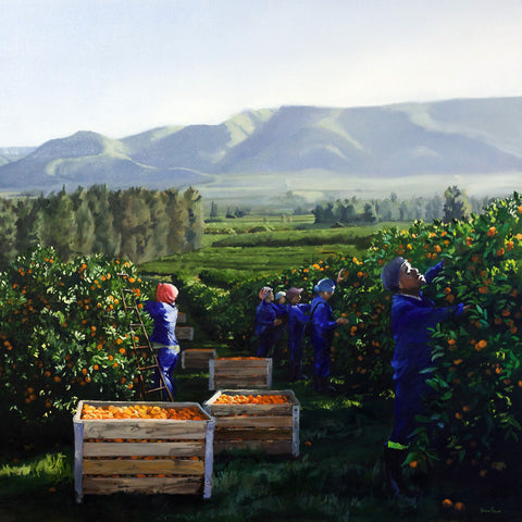 Orange-orchards
