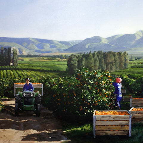 tractor-orchard