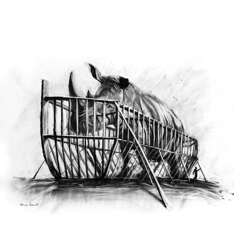 rhinoark
