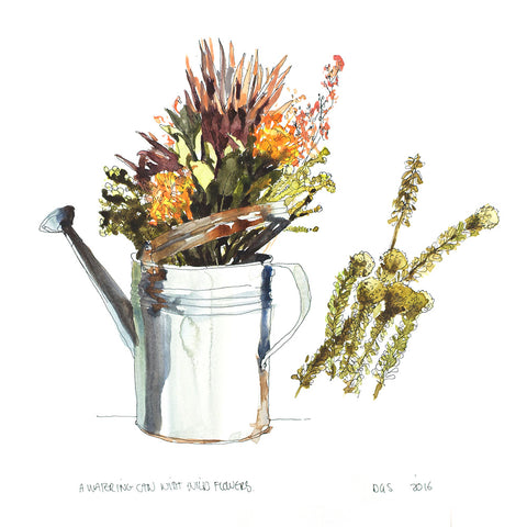 Proteas in a watering can (DScc058)